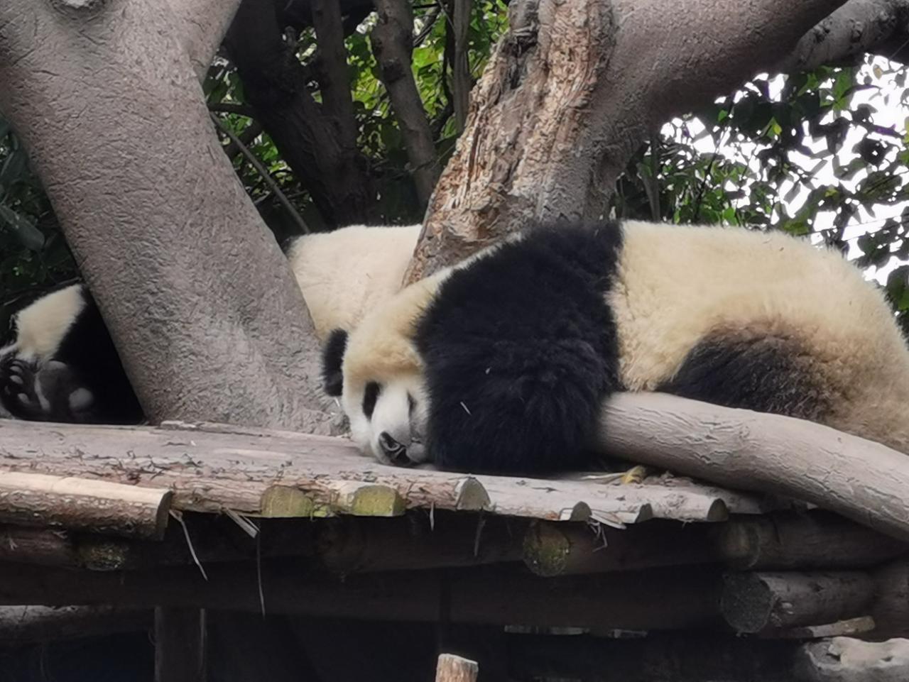 本期图片.jpg
